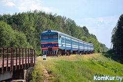 В Бобруйском районе падали деревья