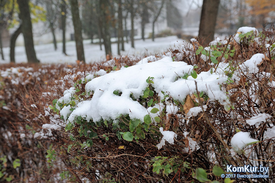 Первый снег в Бобруйске