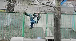 Мужик лезет через забор (ВИДЕО, смотреть до конца!)