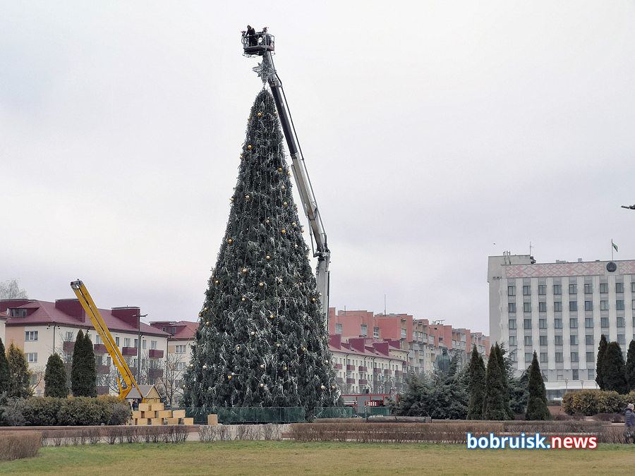 «Синяя крона, малиновый ствол»: на главной площади Бобруйска разбирают елку