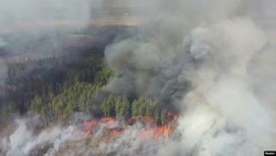 Пожары в Чернобыльской зоне подошли к границе с Беларусью