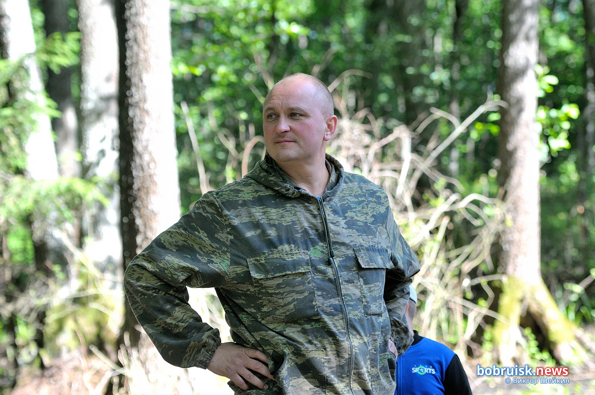 Из вольера под Бобруйском выпустили на волю благородных оленей