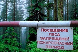 В лес сейчас идти нельзя