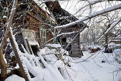 Незваные соседи в бобруйском переулке