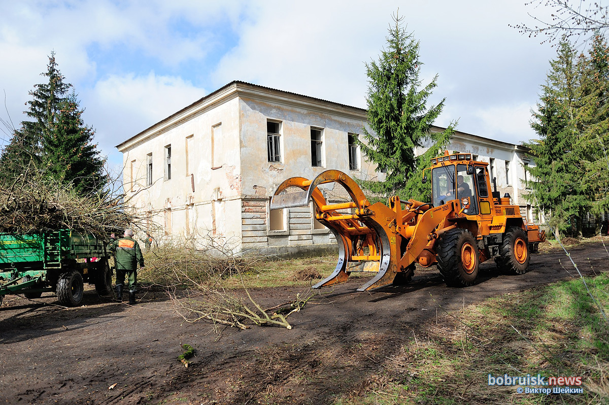 Бобруйске прошел республиканский субботник. Фоторепортаж