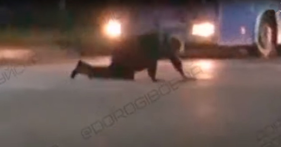 В Бобруйске мужчина переползал дорогу на четвереньках перед автомобилями