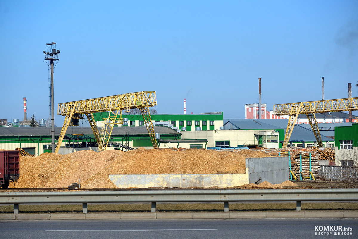 Бобруйск, Березина, наблюдения с моста и берега реки