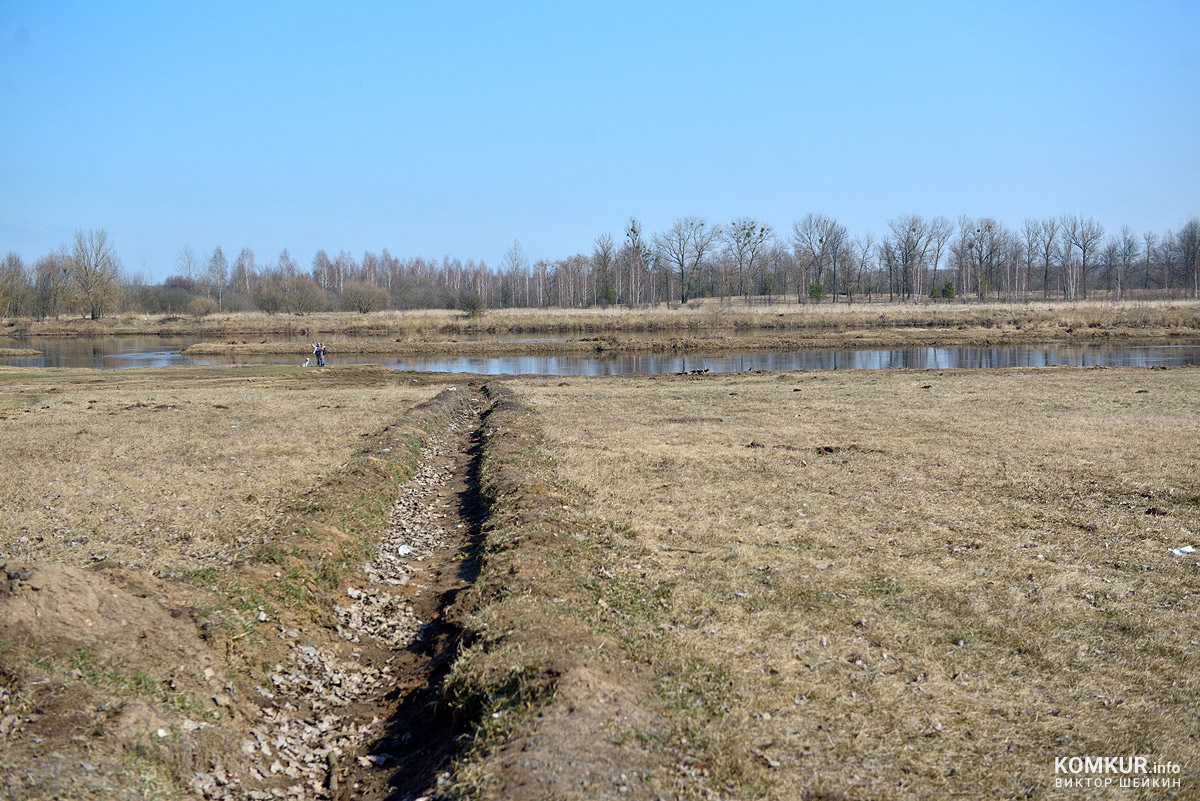 Бобруйск, Березина, наблюдения с моста и берега реки
