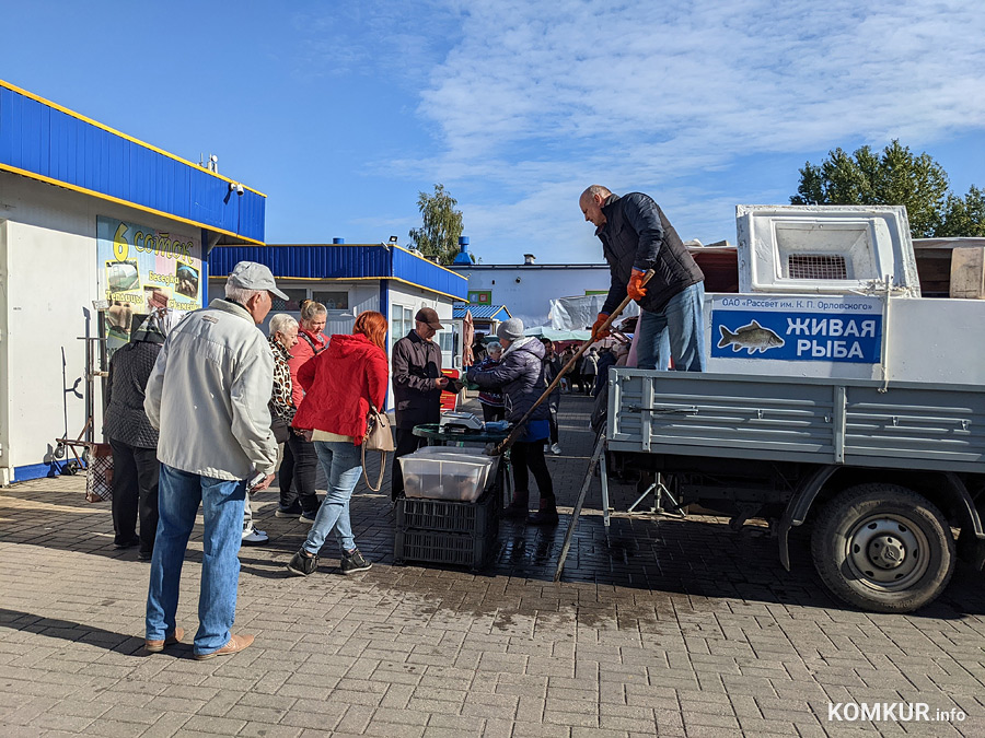 Что вырастили бобруйские огородники и фермеры и сколько за это хотят