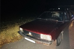 Житель Бобруйского района похитил полтонны картофеля