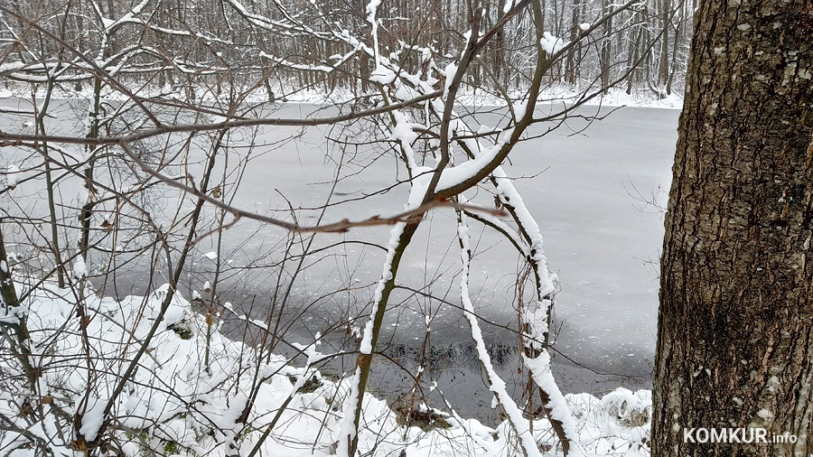 В Могилевской области запрещено выходить на лед. Застыли ли водоемы Бобруйска?