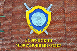 Родственница обокрала семью двоюродного брата. Бобруйский межрайотдел СК возбудил уголовное дело