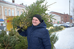 Лесхозы Могилевской области планируют реализовать почти 17 тысяч новогодних деревьев