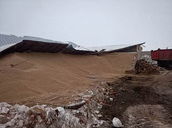 Недалеко от Бобруйска рухнула крыша зерносклада