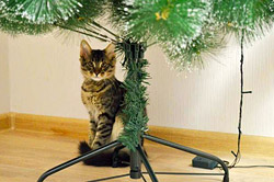 Как украсить елку, если в доме есть кошка или маленький ребенок