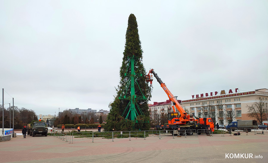 На главной площади Бобруйска убирают елку