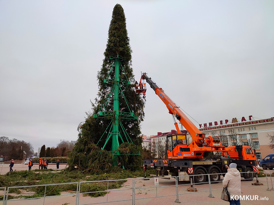 На главной площади Бобруйска убирают елку