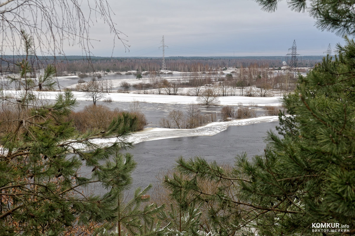Вода — до горизонта: Березина затопила прибрежные районы Бобруйска