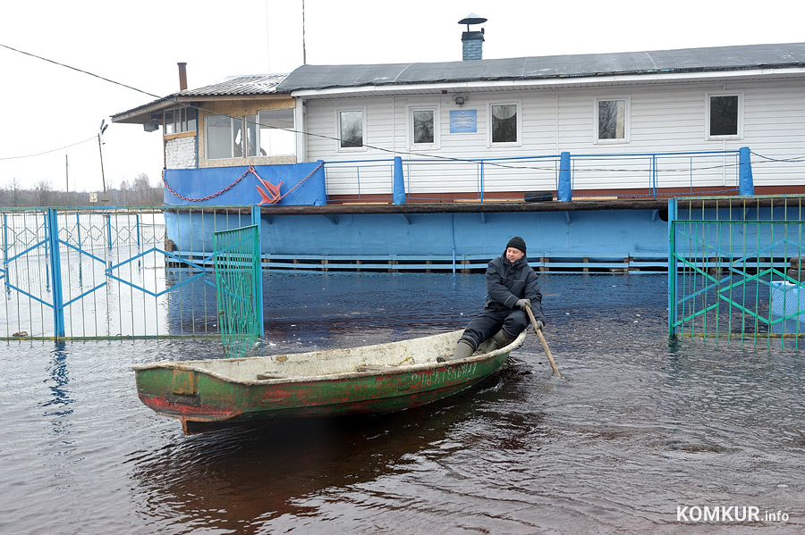 Как жители Бобруйска справляются с большой водой