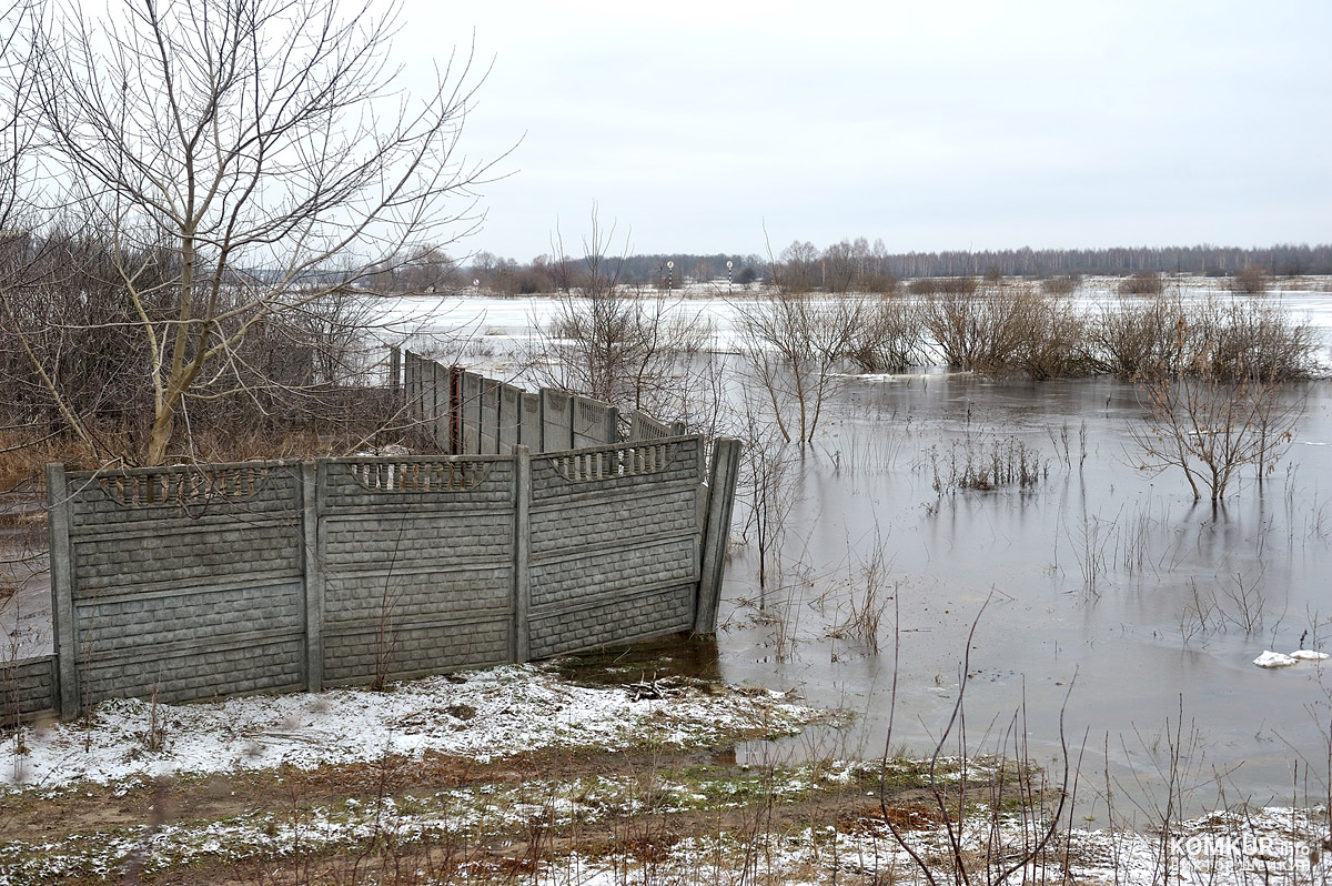 Вода — до горизонта: Березина затопила прибрежные районы Бобруйска