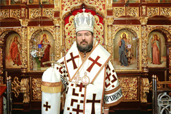 С Рождеством Христовым! Поздравление епископа Бобруйского и Быховского Серафима