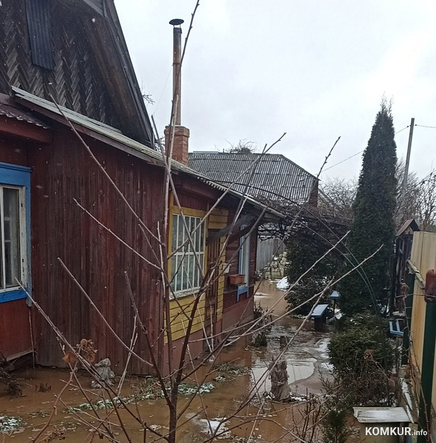В Бобруйске затоплено несколько домов. И причина не в паводке