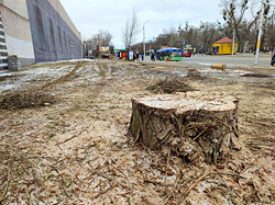 Что будет на улице Минской, где убрали деревья?