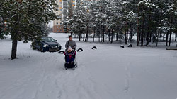 В Бобруйске скоро начнут строить детсад. Где именно и каким он будет?