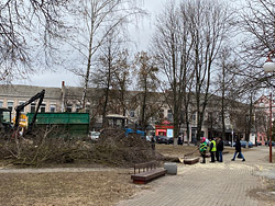 Как готовят к весне зеленый наряд Бобруйска