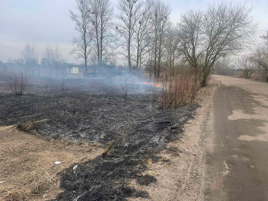 Огонь под ногами. Первые палы травы фиксируют в Бобруйске