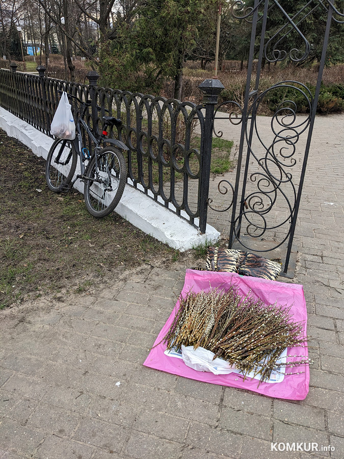 Вербное воскресенье в Бобруйске. Фоторепортаж
