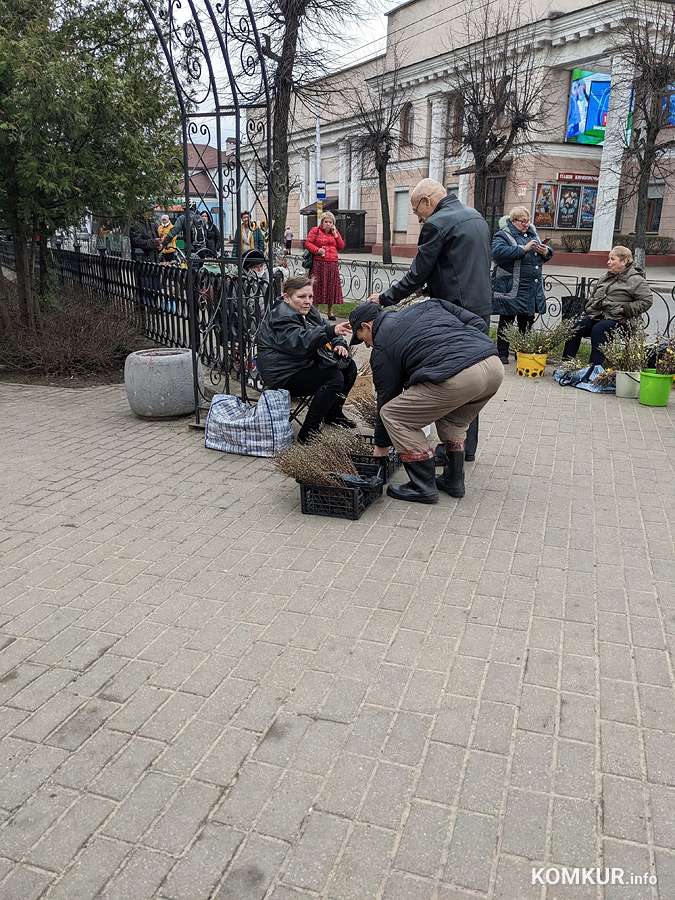 Вербное воскресенье в Бобруйске. Фоторепортаж