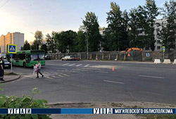 Внимание! ГАИ Бобруйска ищет очевидцев ДТП