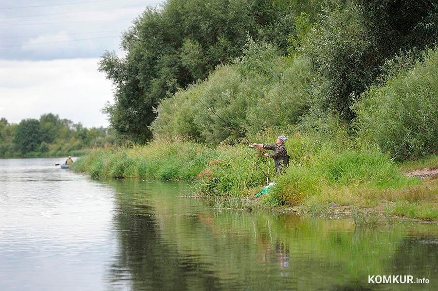 С 31 мая в рыболовных угодьях Могилевской области начнет действовать запрет на лов сома, он продлится по 1 июля.