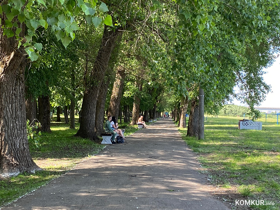 В Могилевской области регистрируется около 300 случаев болезни Лайма в год.