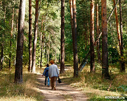 Снова введены ограничения на посещение лесов в Бобруйском районе