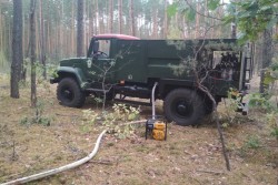В Бобруйском лесхозе рассказали, какая связь между теплыми батареями и лесным запретом