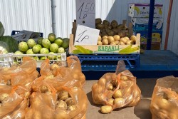 Сколько Беларусь зарабатывает на экспорте овощей? Есть статистика