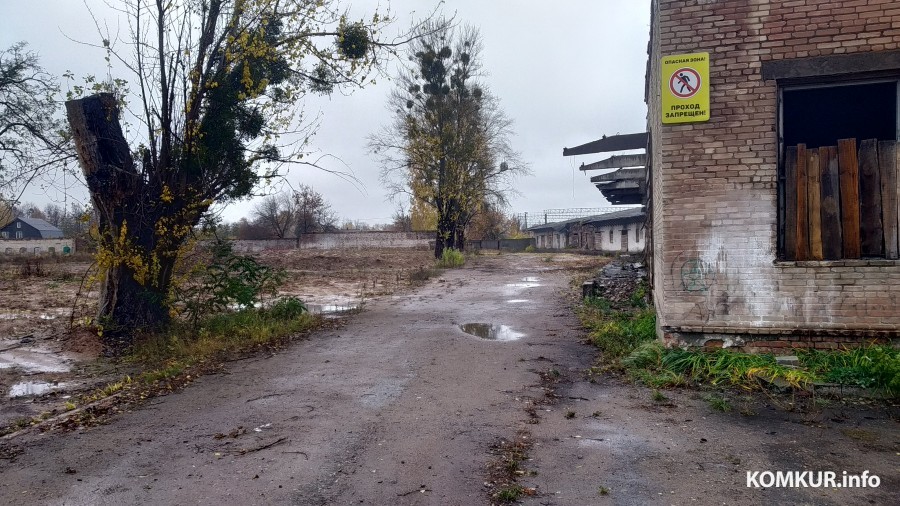 26.10.2023. Бобруйск. Улица Новошоссейная. Так выглядит территория бывшего завода виноградных напитков, снесенного год назад.