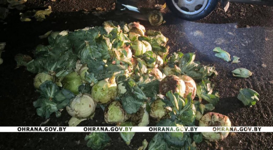 Погрузку и вывоз овощей прервали сотрудники «Охраны». Фото ТГ «Охрана.BY»