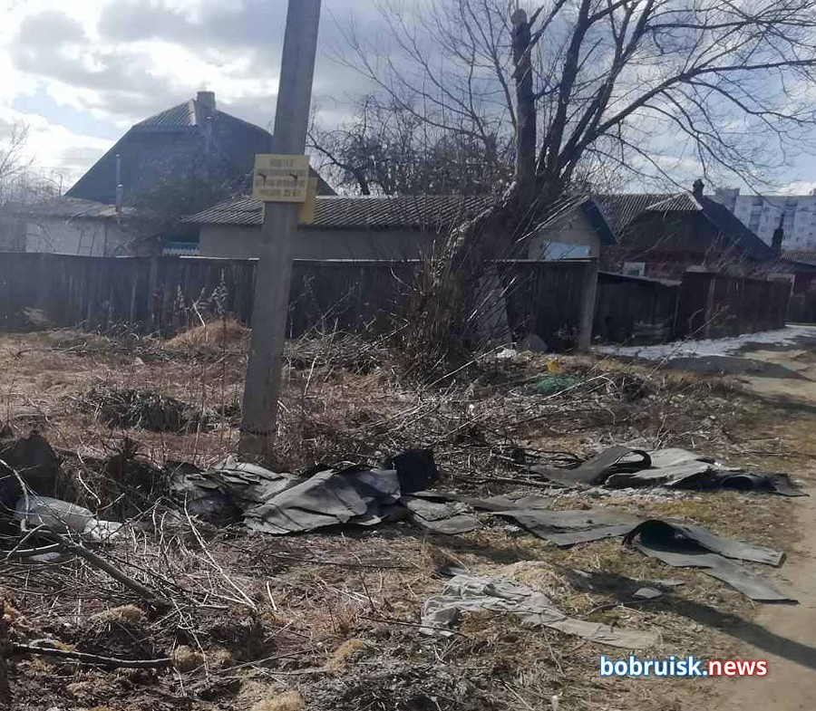 В Бобруйском ЦГиЭ рассказали, сколько выявили свалок в городе и окрестностях