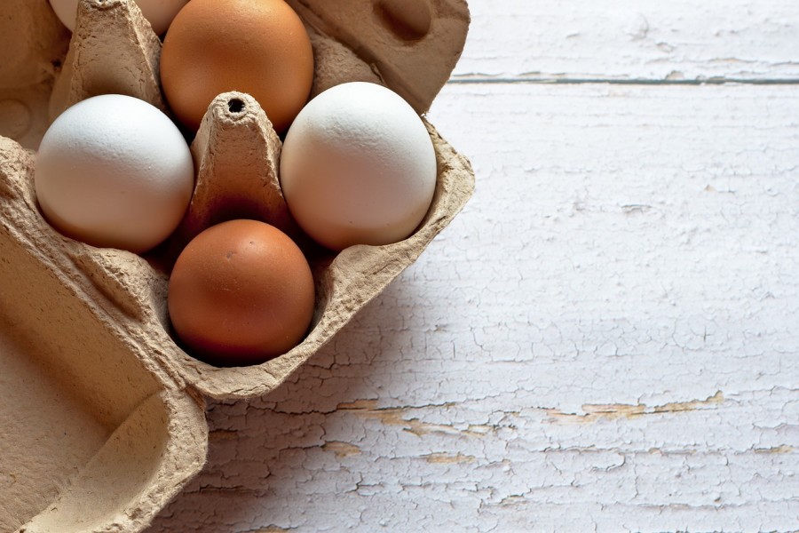 Какие куриные яйца полезнее – белые или цветные