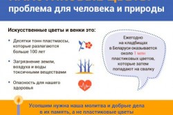 Усопшим нужны добрые дела, а не пластиковые цветы: экологи призывают посещать могилы родных с живыми цветами