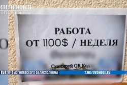 Грозит до 20 лет лишения свободы: могилевчанку задержали за рекламу наркомаркета