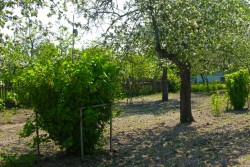 7 простых способов узнать кислотность почвы огорода в домашних условиях