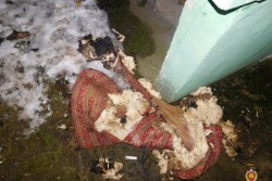 Бобруйские судэксперты по фрагменту ладони установили личность мужчины, обгоревшие останки которого были обнаружены в подвале многоквартирного дома