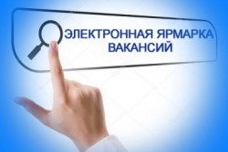 В Бобруйске 5 марта пройдет электронная ярмарка вакансий