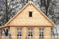 Для сотрудников лесной отрасли будут строить деревянные дома. Работы начнутся и в Бобруйском лесхозе