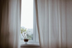 Почему стоит отказаться от штор: 5 причин (пыль – не самая главная из них)
