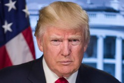 Дональд Трамп подписал указ о санкциях против Международного уголовного суда